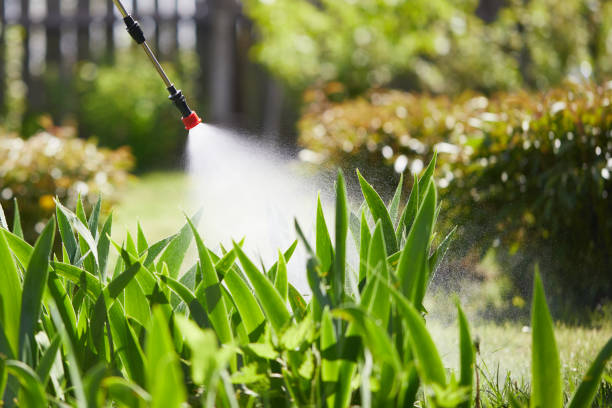 24/7 Emergency Mosquito Control experts in Nashua, IA